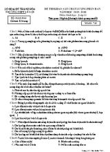 Đề thi khảo sát chất lượng phân ban môn Sinh học Lớp 11 - Mã đề 743 - Năm học 2019-2020 - Trường THPT Lê Lợi